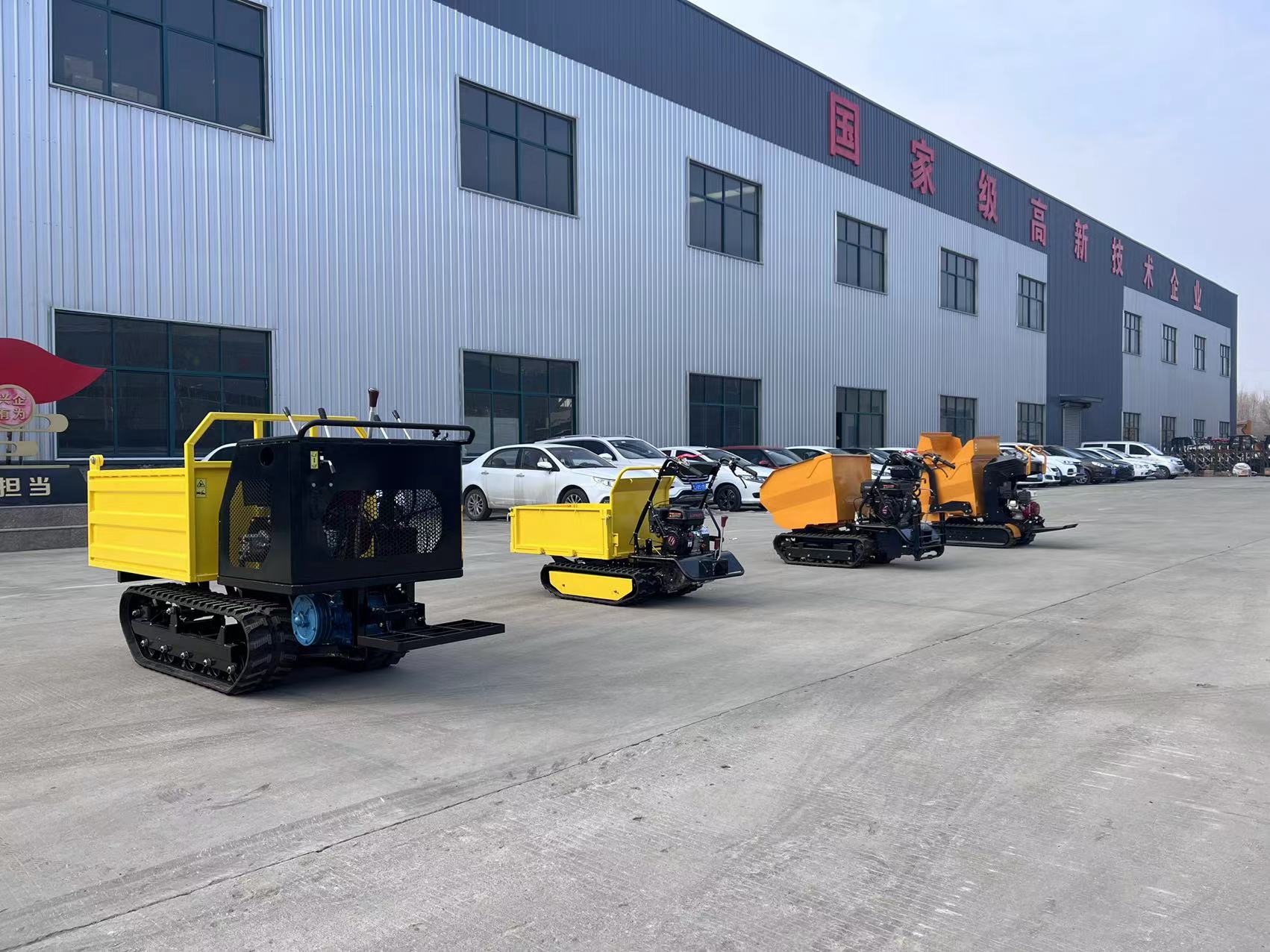 Mini Tipper Truck