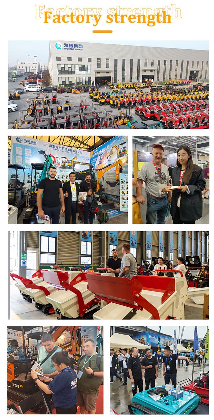  Mini caminh&atilde;o basculante