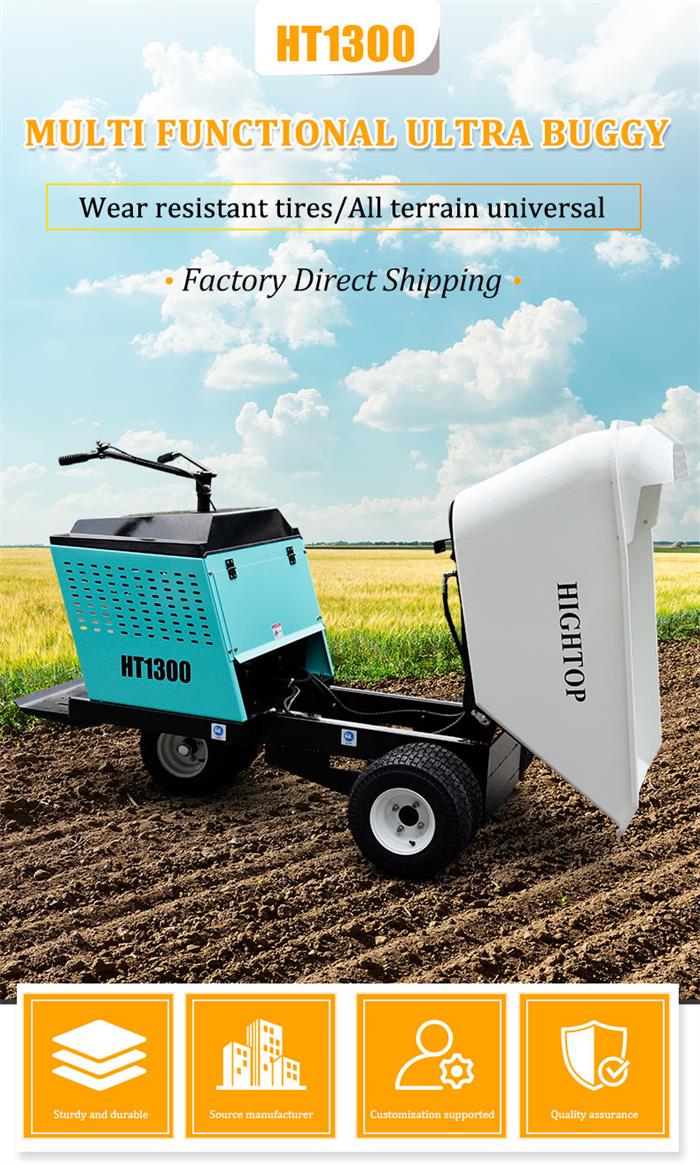  Mini caminh&atilde;o basculante