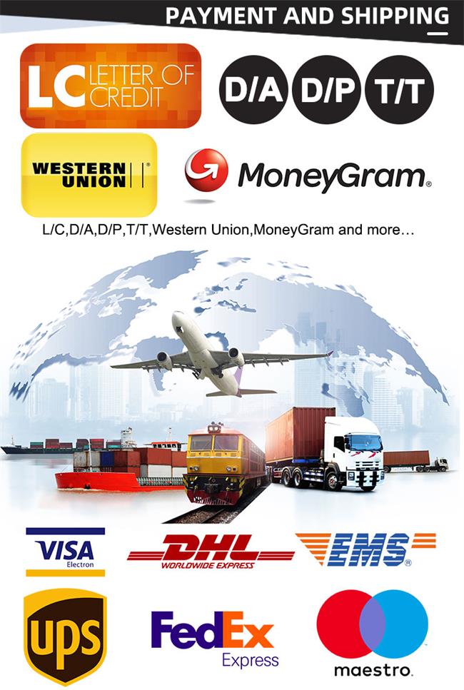  Miniescavadeira HT18L