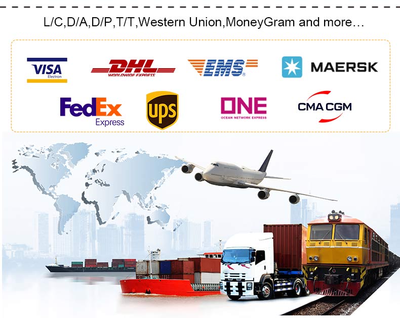  Minicarregadeira HT1000